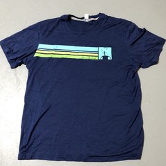 Smartwool Merino Wool T Shirt Mens Large Baselayer Short Sleeve Logo Blue