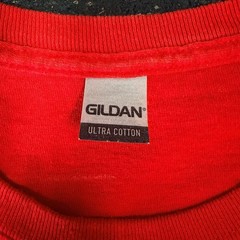 Gildan Ultra Cotton Smith Mountain Lake Pirate Days 2021 Graphic T-Shirt Red