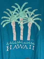 Vintage 90s single stitch blue green Hawaii gold foil palm trees sz L graphic