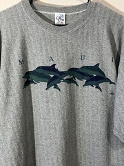 Vintage Cal Cru Shirt Adult Extra Large Gray Green Maui Dolphins Hawaii USA Mens