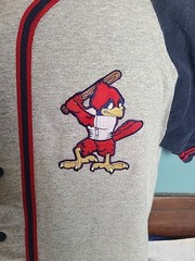 Vintage Baseball Jersey Badger Sport Made USA Size XL #19 Cardinals Sluggerbird