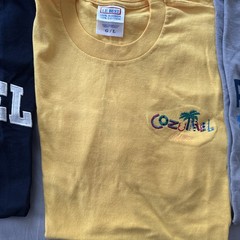 Lot Of 8 T-Shirts Vacation Destination Caribbean Embroidered Comfy SZ Large Bulk