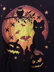 Halloween Black Cat Pumpkin Bats Owls Graphic Shirt Mens XL NEW
