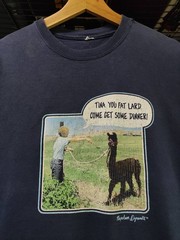 Vtg 00’s Napolean Dynamite ” TINA ” Movie Promo T-Shirt