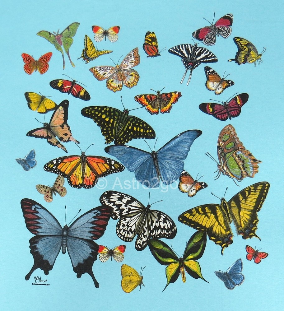 BUTTERFLY GLOW-Butterflies Moth Monarch Insects Bugs Nature Wings T shirt S-3XL