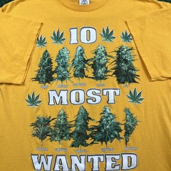 VTG Weed T-Shirt Men’s XL Yellow 10 Most Wanted Cannabis Strains Marijuana Y2K