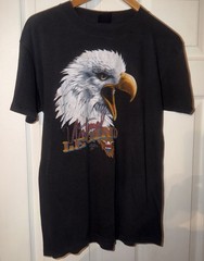 Vintage 1986 Harley Davidson 3D Emblem Eagle Untamed Legend Rare Melbourne Fl