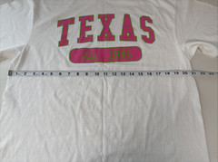 Delta Pro Weight Texas T-shirt Unisex Short Sleeve White Size Large