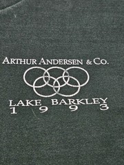 Vintage 90s Arthur Andersen Tee XL Lake Barkley 1993 Single Stitch USA Olympic