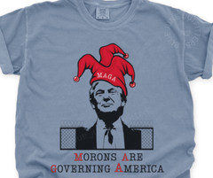 MORONS ARE GOVERNING AMERICA | ANTI MAGA ANTI TRUMP TEE | FIGHT FASCISM FTD TEE