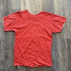 True Vintage 70s Champion Blue Bar Brodhead Red Cardinal Gym PE Tee Shirt