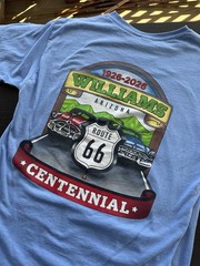 Williams Arizona Vintage Tee Shirt Baby Blue Souvenir Cotton