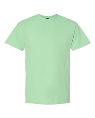 Gildan 2000 Unisex Ultra Cotton T-Shirt