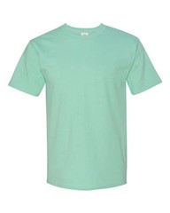 Hanes Unisex Authentic T-Shirt – 5250