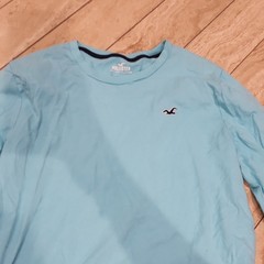 Hollister Men’s M Blue Long Sleeve Crew Neck Seagull Logo Cotton Jersey Tee