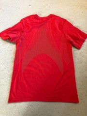Champion Shirt Men’s Small Double Dry Active Stretch Red Knit Tee