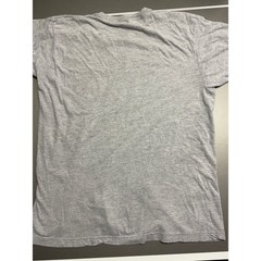 Ann Arbor T-Shirt Co Gray Funny Graphic Tee Expert Advice Mens XL