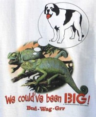 We Could’ve Been Big Dogs White Tee Shirt Large XL 2X 6X Lizards Bud Beer New
