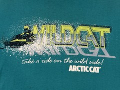 Arctic Cat Wildcat Shirt Large Teal Vintage Distressed Stain Single Stitch 90s