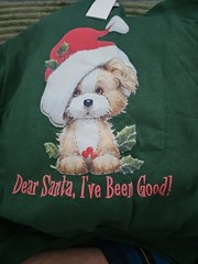 Walmart Vintage – L 14/16 – Christmas Puppy Sweatshirt