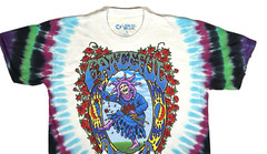 Grateful Dead ‘Seasons Of The Dead’ Front/Back Graphic Tie Dye T-Shirt Large New