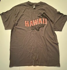 Men’s T-Shirts XL Cotton / Cotton Blend Hawaii Graphic Gray Black Various Brands