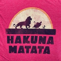 Disney Lion King Shirt Men’s Medium Red Short Sleeve Crew Neck Hakuna Matata