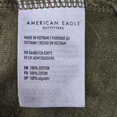 American Eagle Outfitters Men Shirt L/G/G Olive Green Globe Graphic Tee Logo
