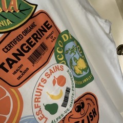 American Eagle Standard Fit White Sunbelt Fruit Company Graphic T-Shirt L
