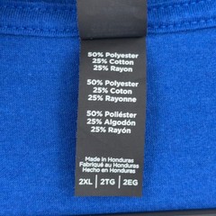 District Perfect Tri Men 2XL Orlando Magic Mascot BlueT-Shirt