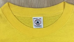 Florida Wildlife Dolphin Turtle Lizard T-shirt Size Medium Yellow Excellent!