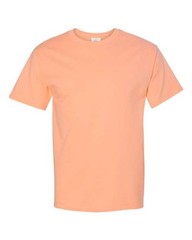 Hanes Unisex Authentic T-Shirt – 5250