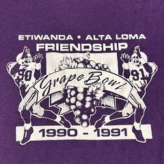 Jerzees Friendship Bowl Football 90-91 SingleStitch Shirt Size XL Made In USA