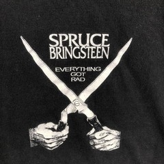 Spruce Bringsteen Everything Got Rad Shirt Mens Large Black Alstyle Graphic Tee