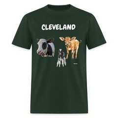 CAVS