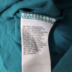 The North Face Mens LS Parks Tee Shaded Spruce Size Med