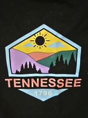 Home Free Tennessee State 1796 – Unisex Black Polyester/Cotton/Rayon T-Shirt EUC