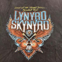 Lynyrd Skynyrd Shirt Mens XL Black Last Of The Street Survivors Tour 2018
