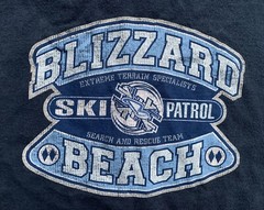 Vintage Disney Blizzard Beach Long Sleeve T Shirt Mens XL Blue Ski Patrol