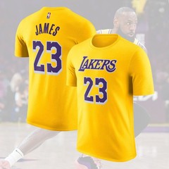 SALE OFF! LeBron James #23 Los Angeles Lakers 2025 Name & Number Gift For Fans