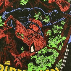 VTG Spiderman T-Shirt 1991 Marvel Comic Images Todd McFarlane “Perceptions” XL
