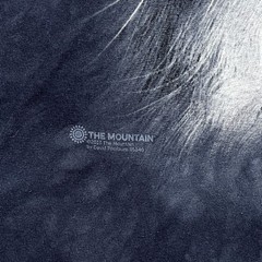 The Mountain Cutie Pie Kitten T-Shirt Size M Tie-Dye Blue Eye Cat Face