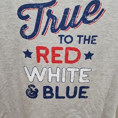 AMERICA TRUE TO THE RED WHITE & BLUE MENS GRAY T-SHIRT SIZE XL (46-48) NEW