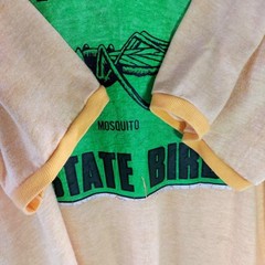 70s Russell Athletic Wisconsin Mosquito State Bird Ringer T-Shirt L Yellow