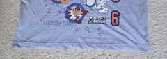 Champion Men’s M Gray Space Jam Looney Tunes Tune Squad Graphic Crew T-Shirt