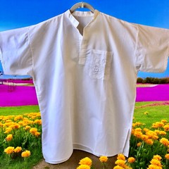 Pullover Casual Shirt Banded Collar V-Neck Egypt Symbols on Pocket Mens 54″ 3X