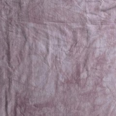 The Mountain Shirt Mens Small Pink Wolf Graphic Dean Russo Tie Dye Tee