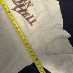 Donnie Darko/ Jake Gyllenhaal Raisin Hell & Triumph Long Sleeve Tees