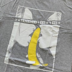Rare Vintage Men’s Chunk and Ape ‘Givers II’ T-Shirt Grey 2008 Authentic Was $45