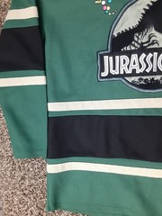 Box Lunch Jurassic Park #93 Captain Lace Up Hockey Jersey Green Adult Small